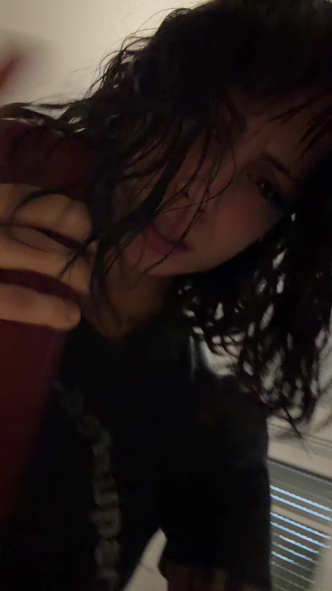 @persiankitten