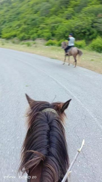 @Bəxtiyar M&uuml;şfiq Oglu