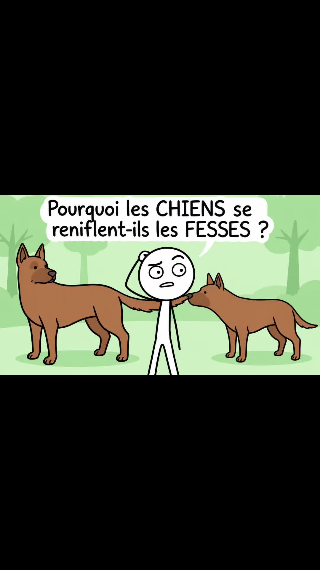 @¿StickCurieux?