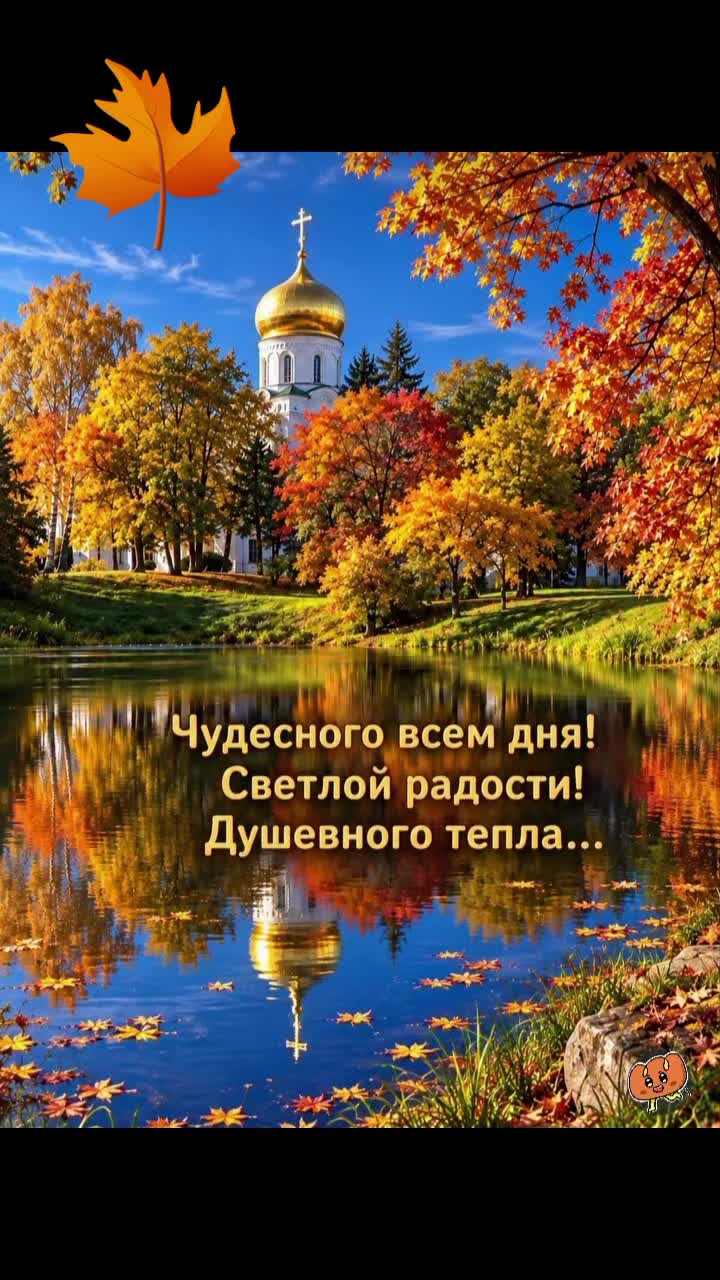 @Elena L885