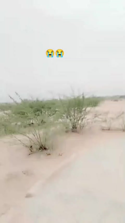@جاوید سیکرٹری