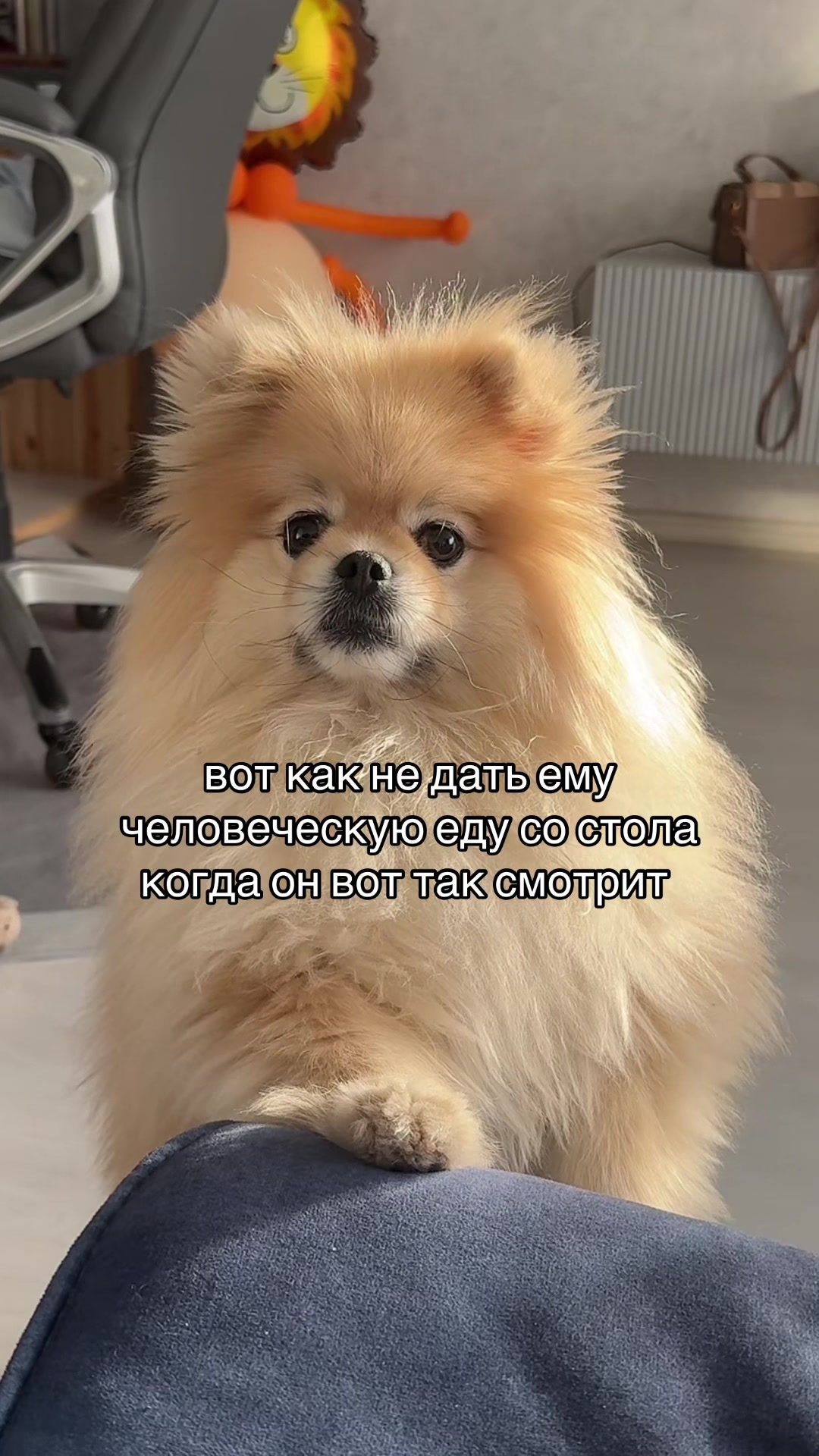 @тгк: Марийка 🍬