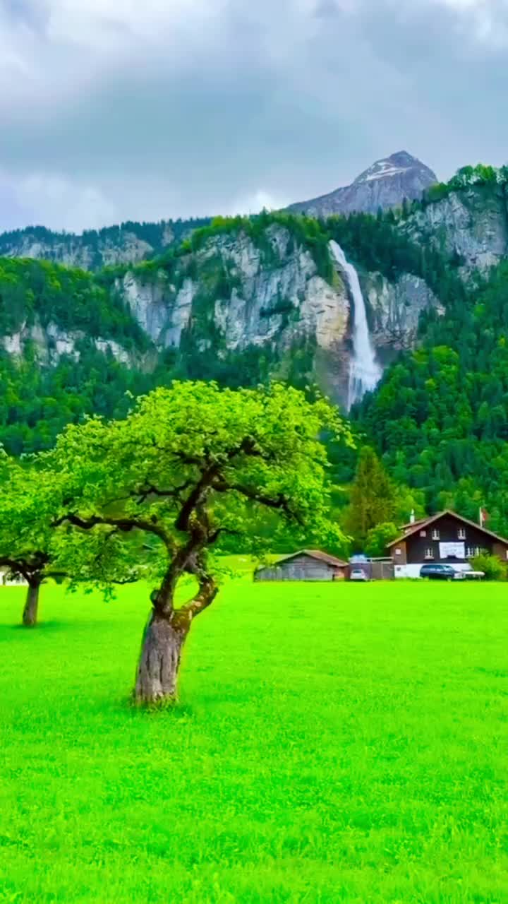 @mehmetkaap1