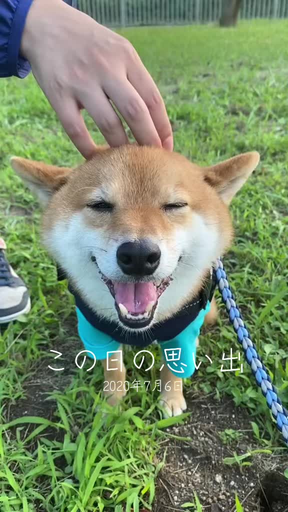 @豆助