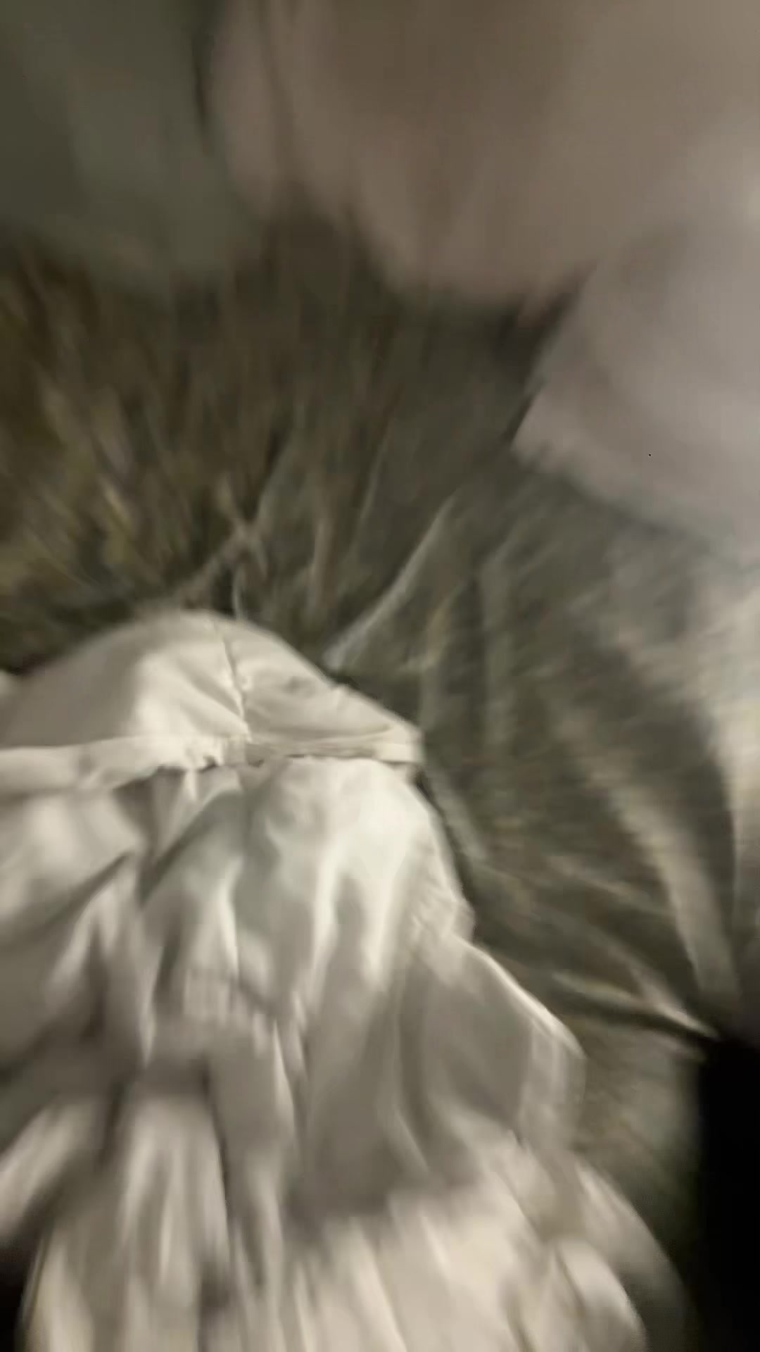 @lucasweolopez