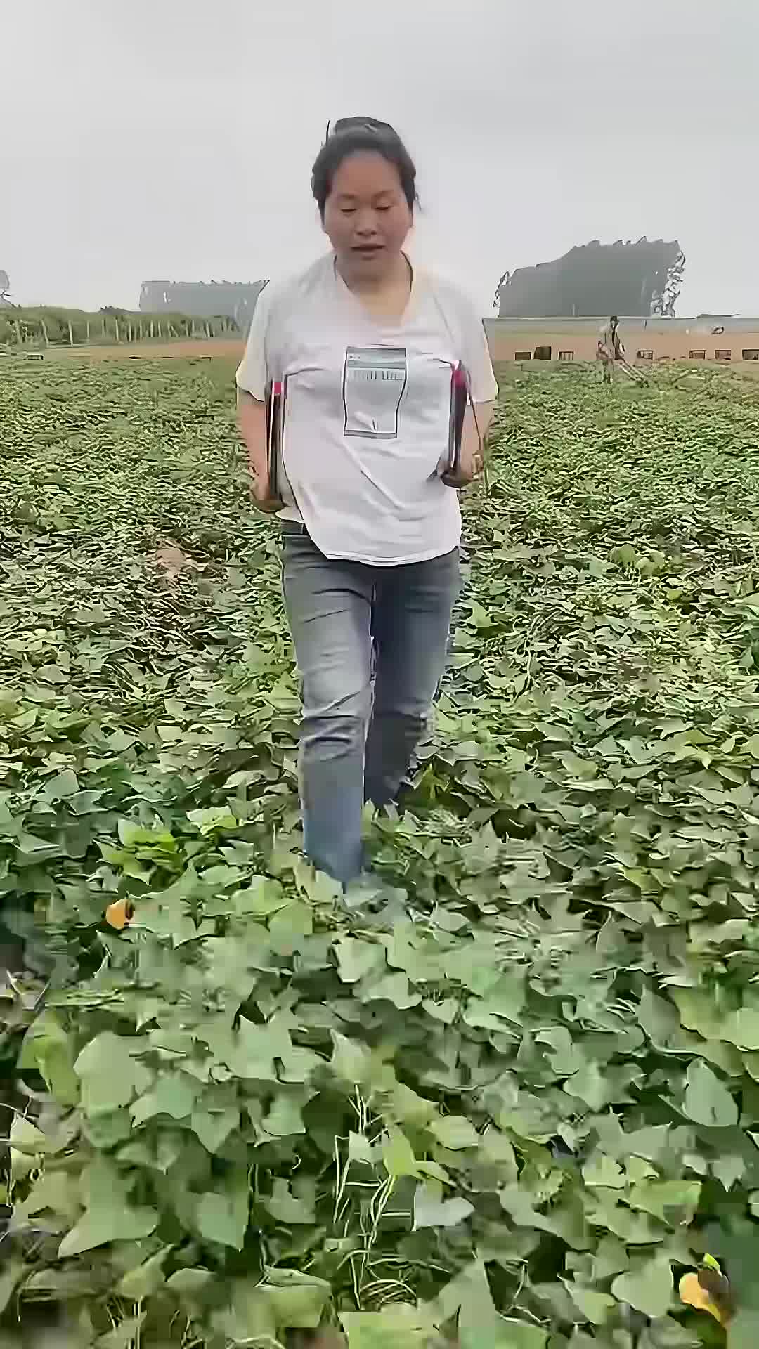 @veralowe19957