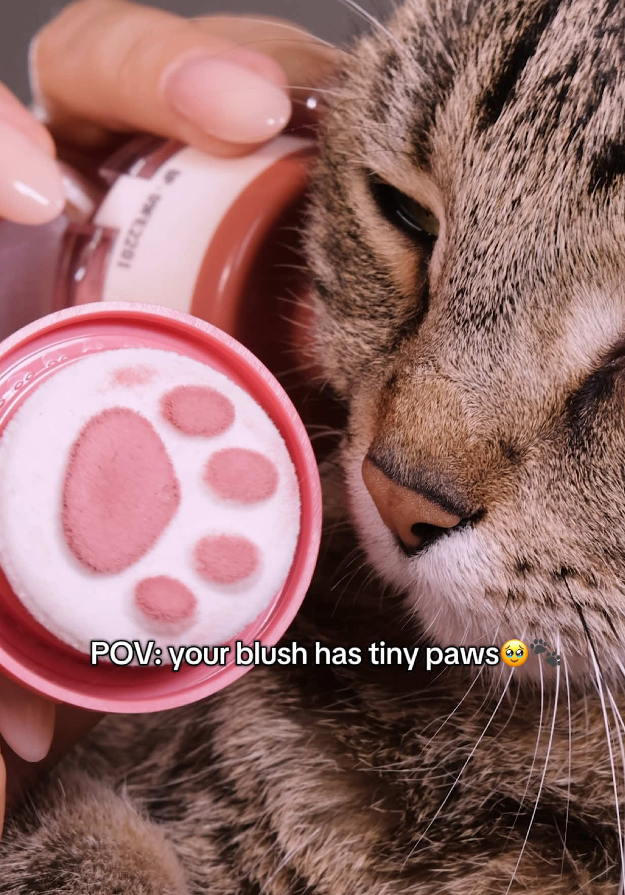@molchanovaasmr