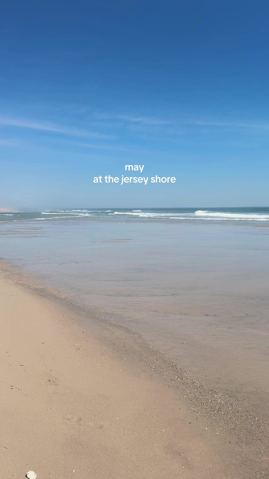 @Rachel🐚