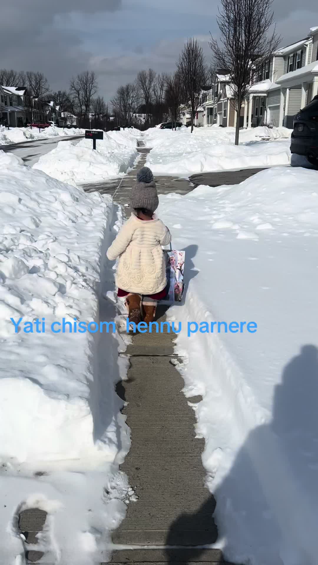 @Dipshikha lama