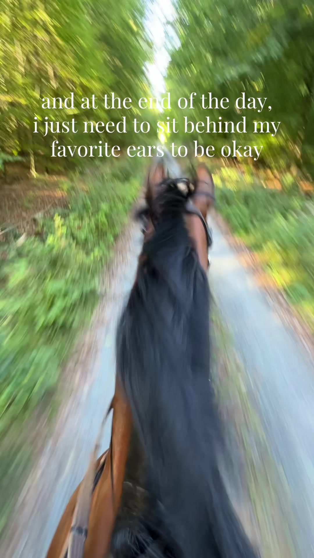 @callitoos.horselife