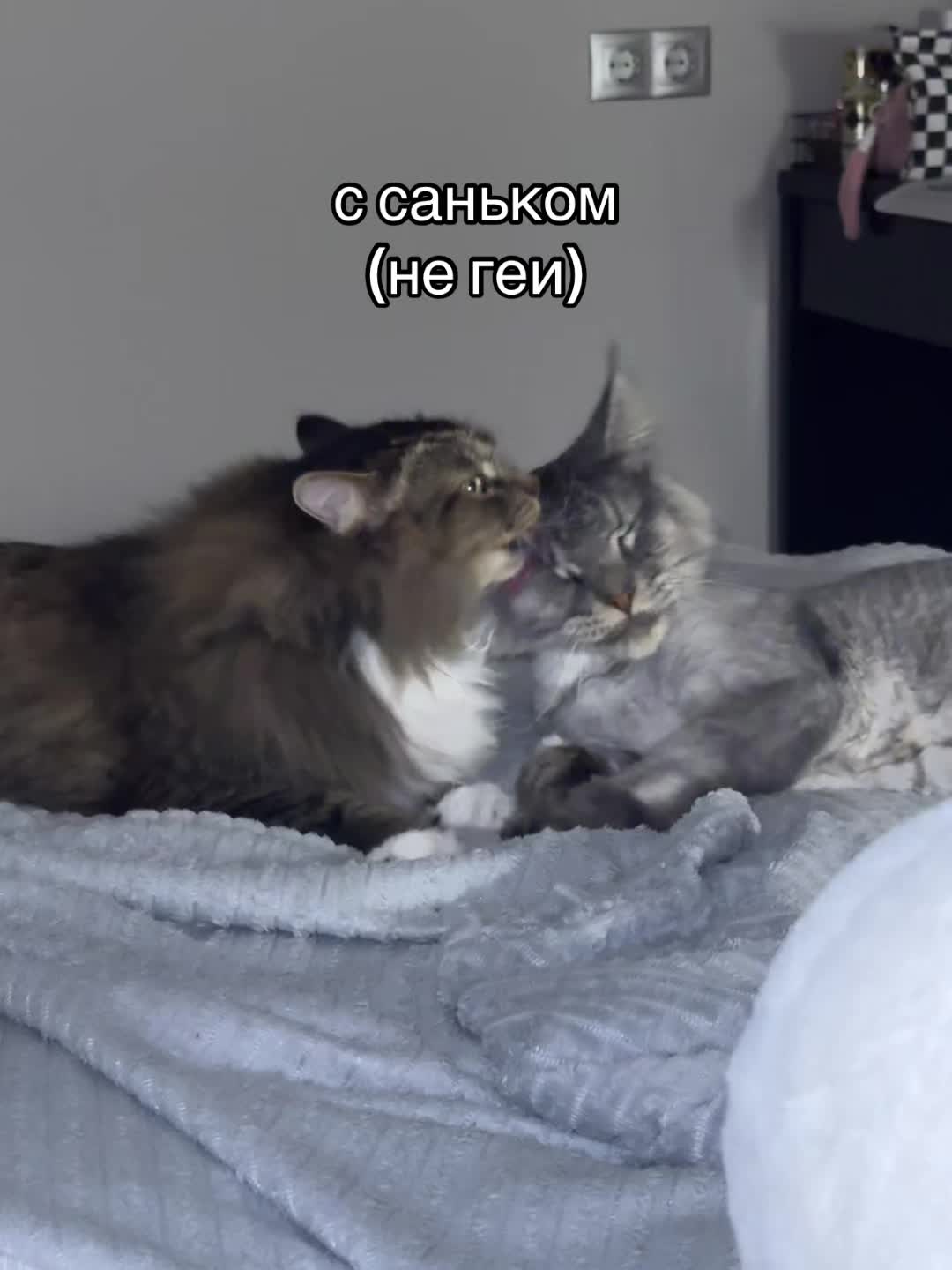 @DIMITRESKU