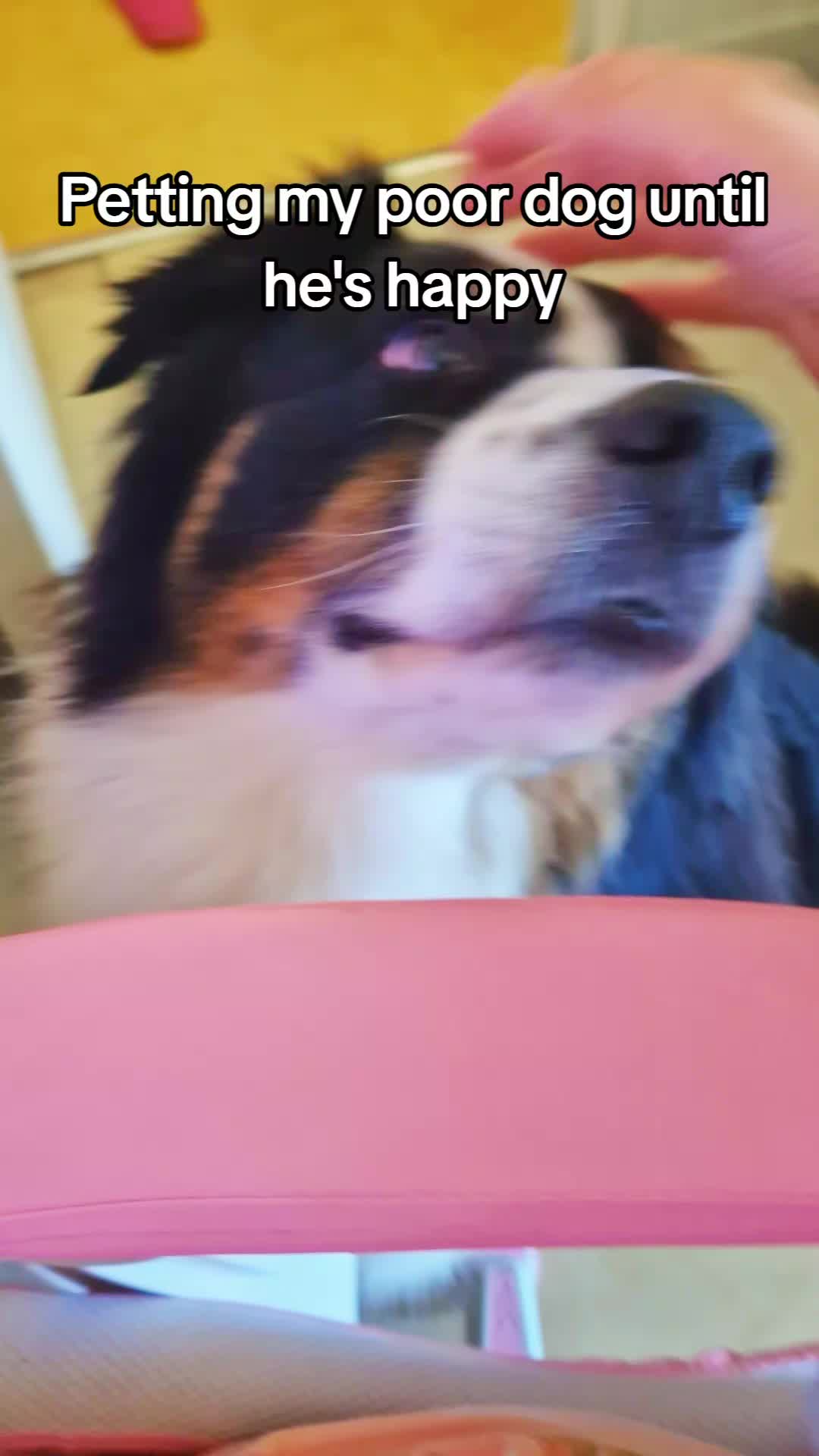 @Lofi the Aussie