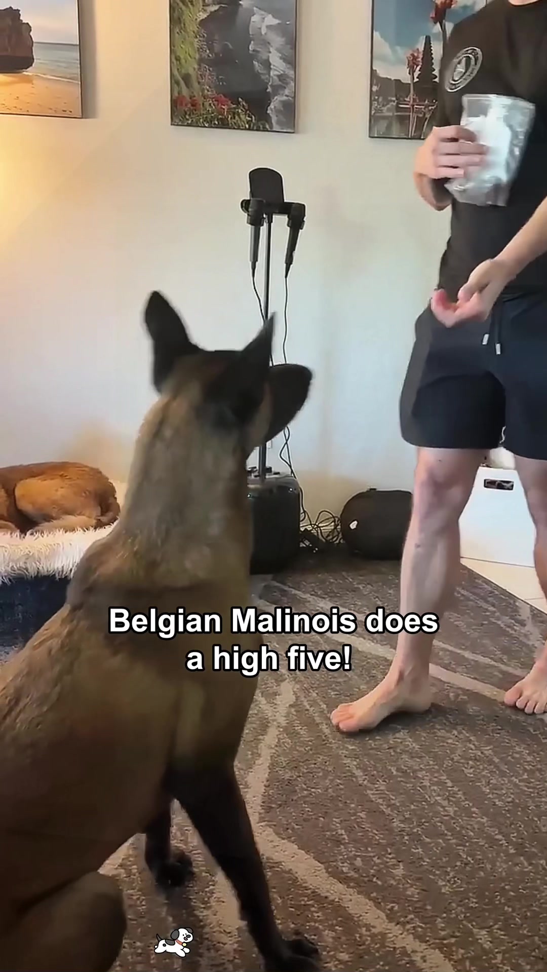 @SneakyFails