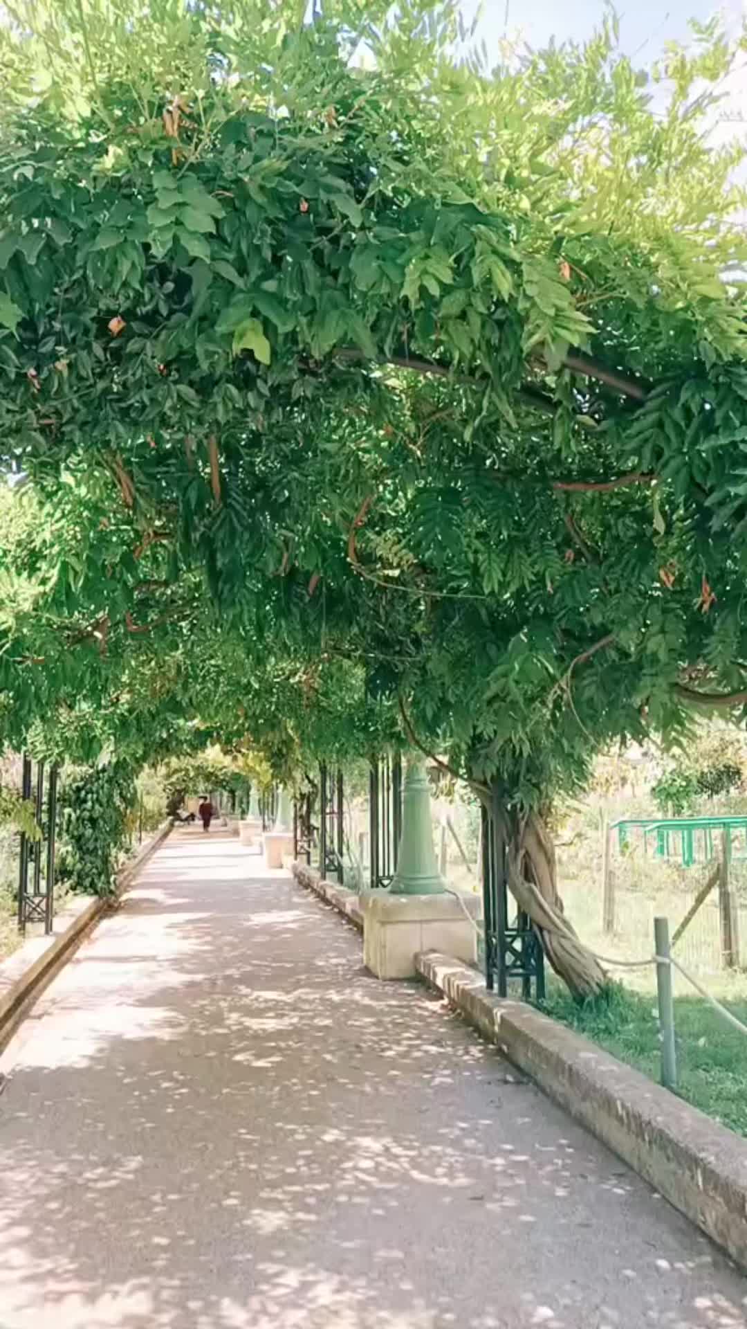 @Sousou16♥️🇩🇿