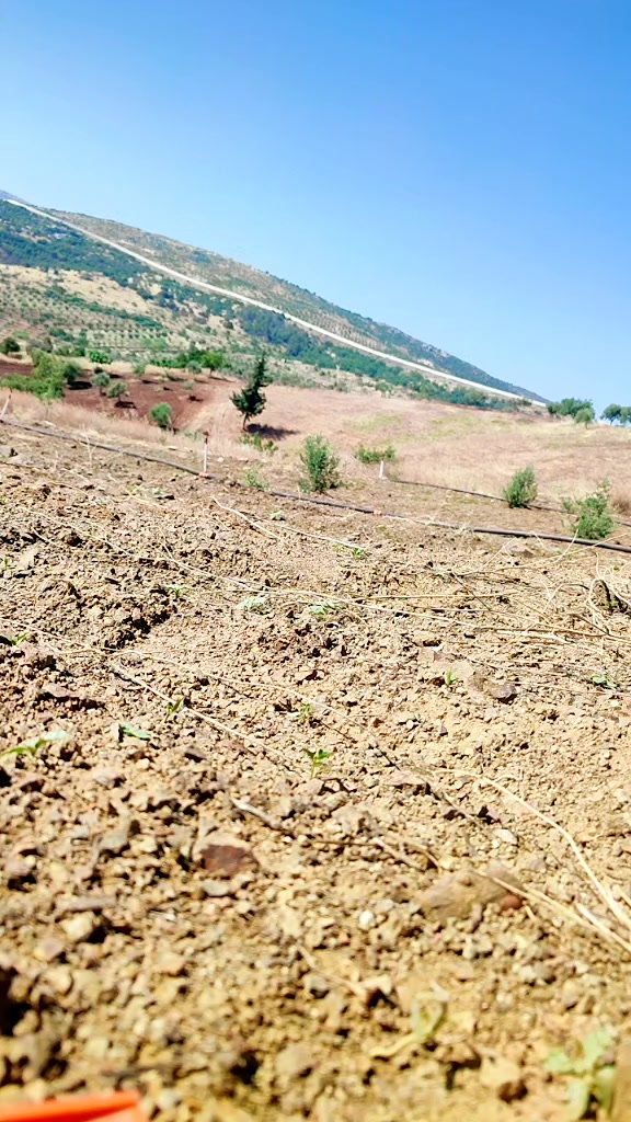 @Başkan Ramazan