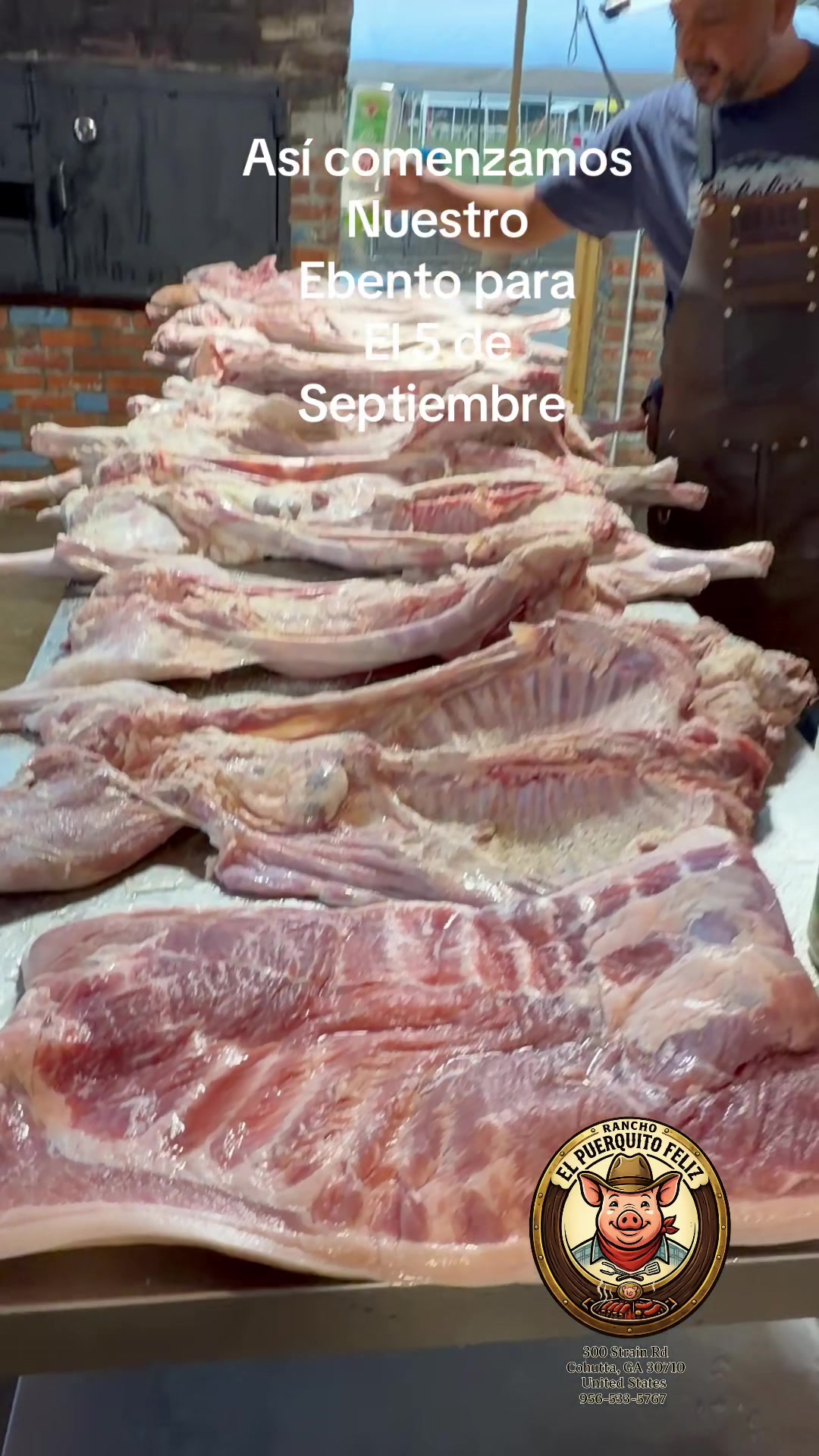 @Rancho El Puerquito Feliz 🐷