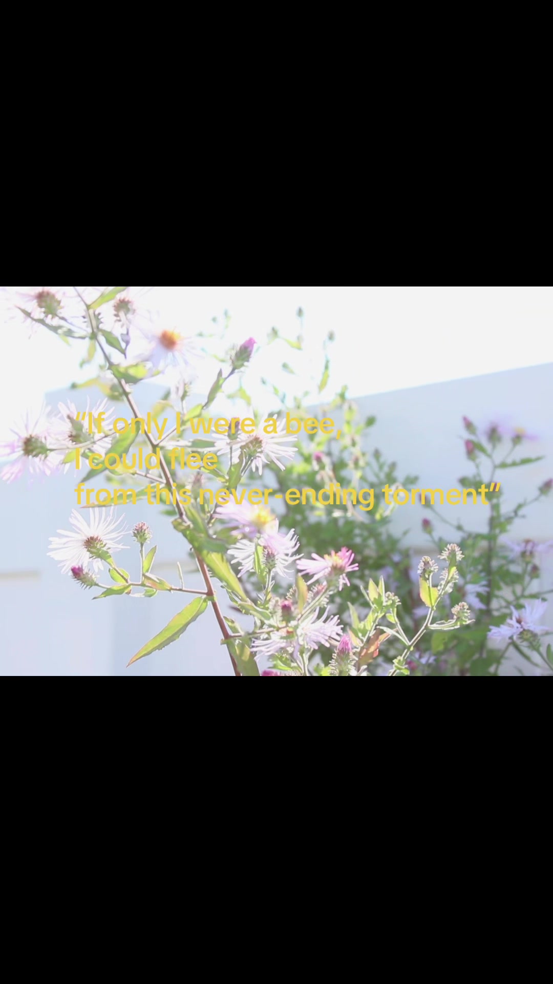 @thegardenoir