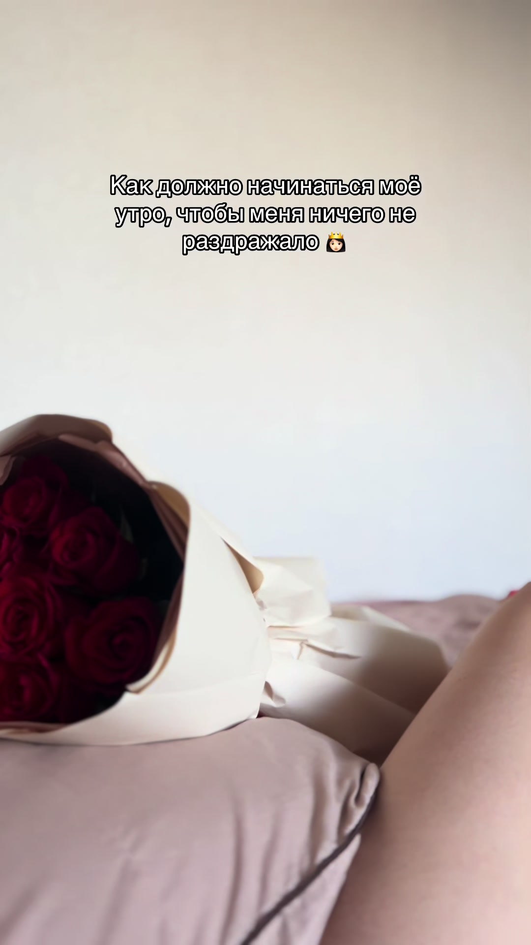 @LINA 🦊