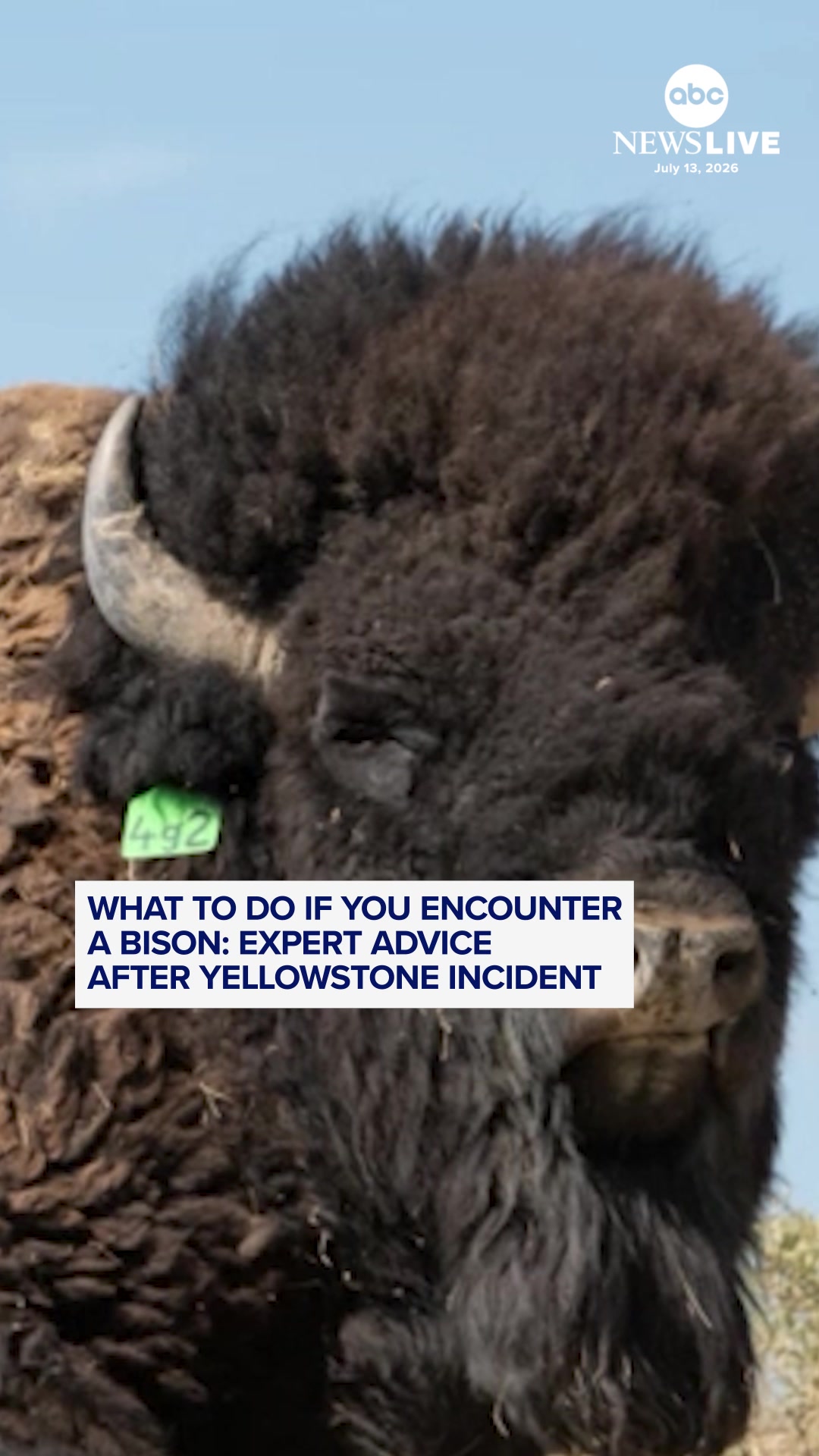 @ABC News