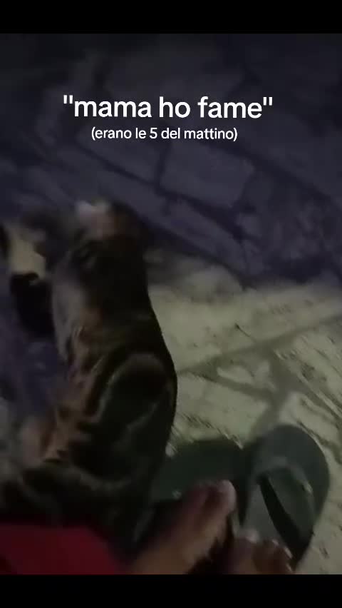 @𝐅𝐀𝐑𝐈𝐀