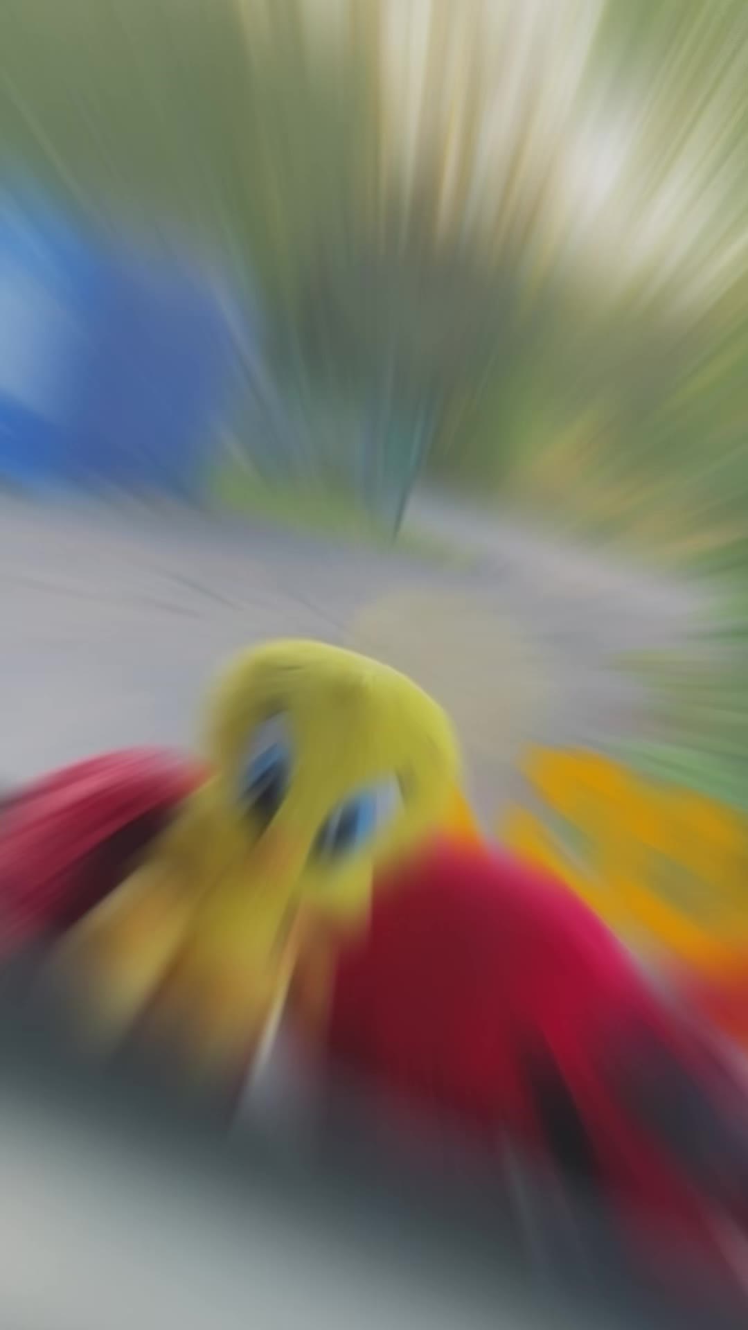 @H0n3y