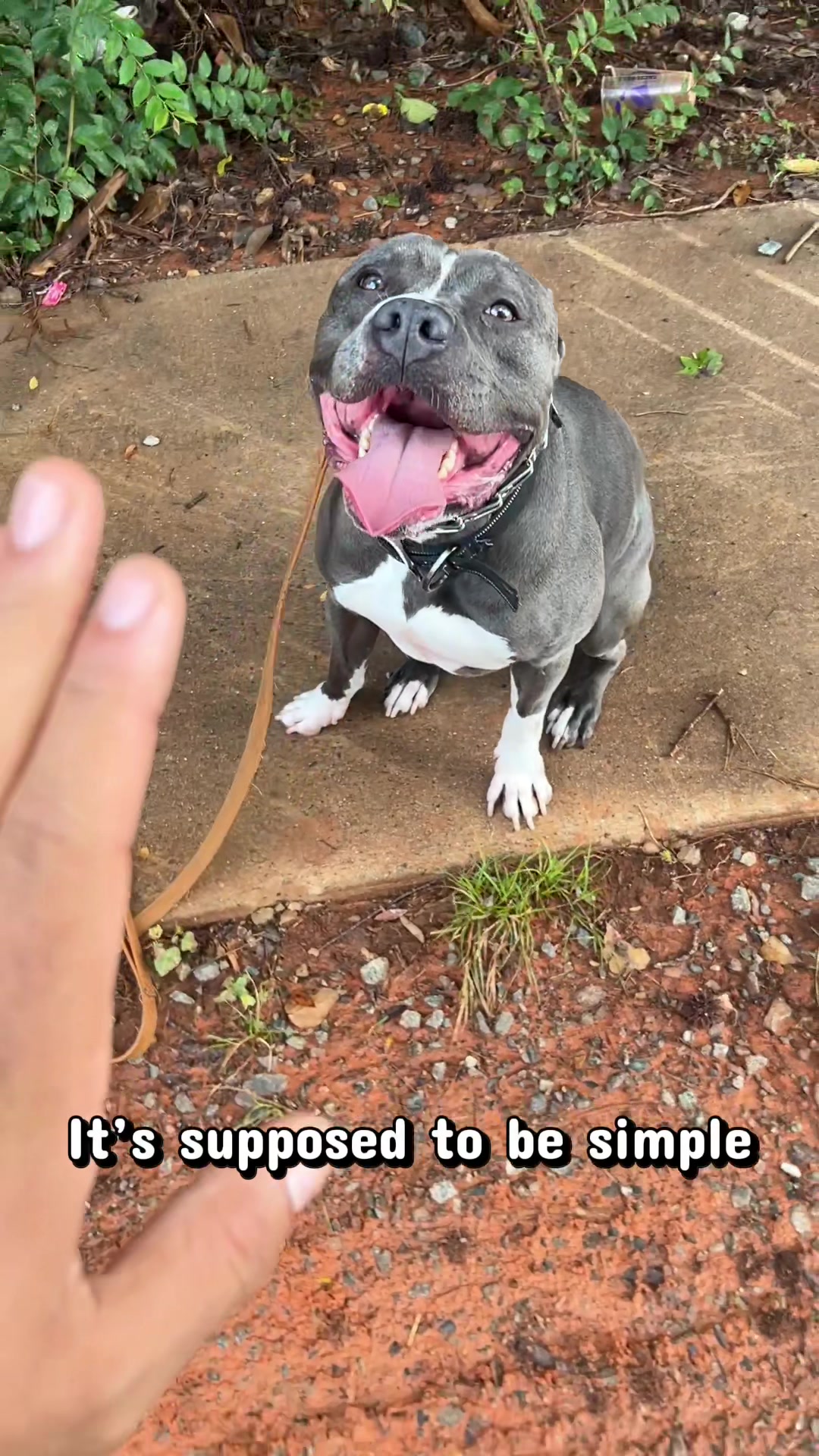 @AJ