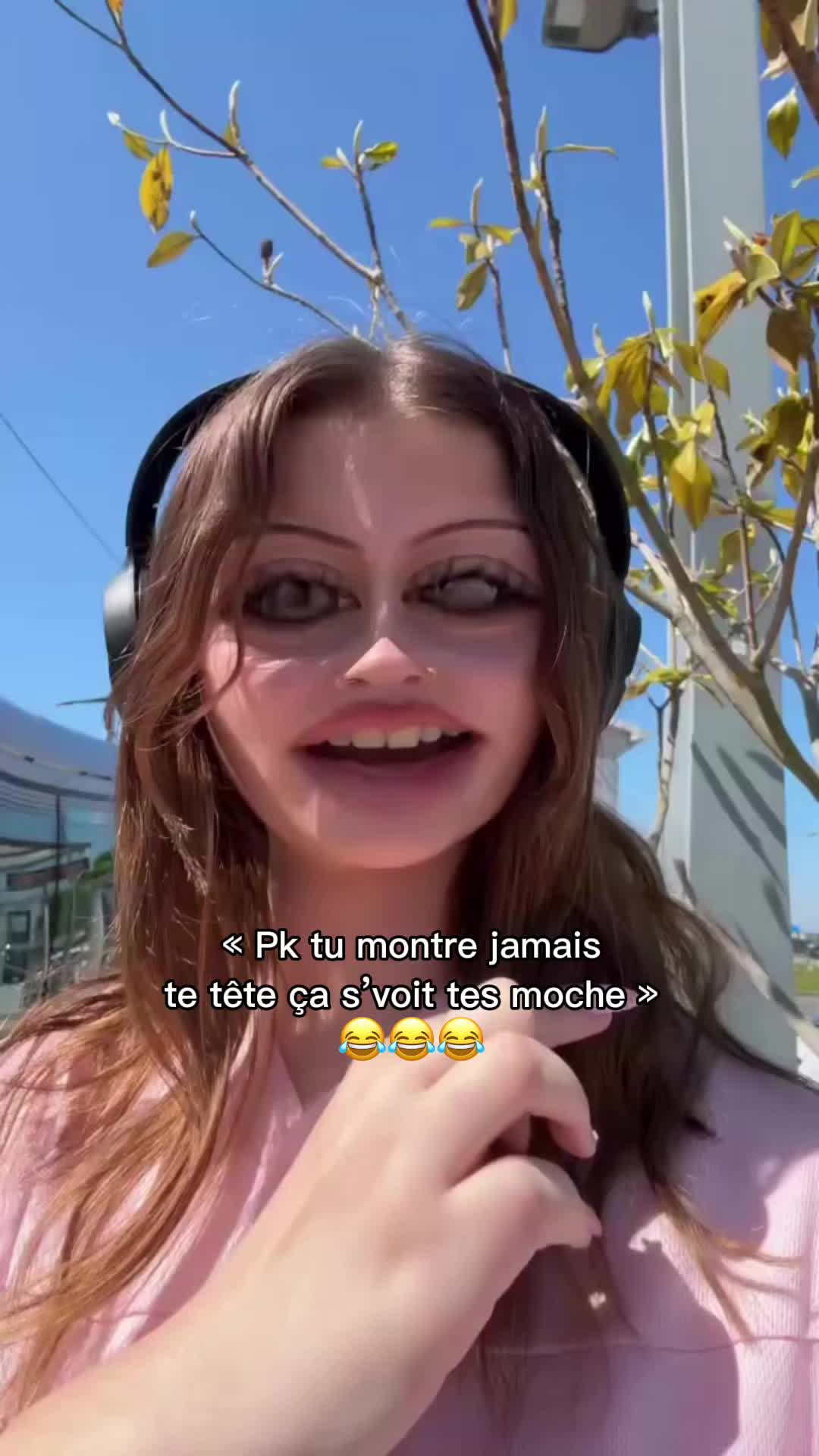 @stephania