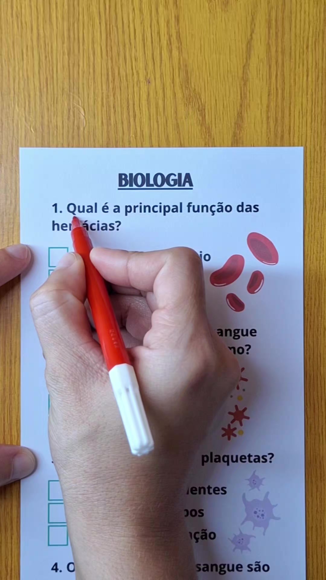 @Hora do Teste Oficial