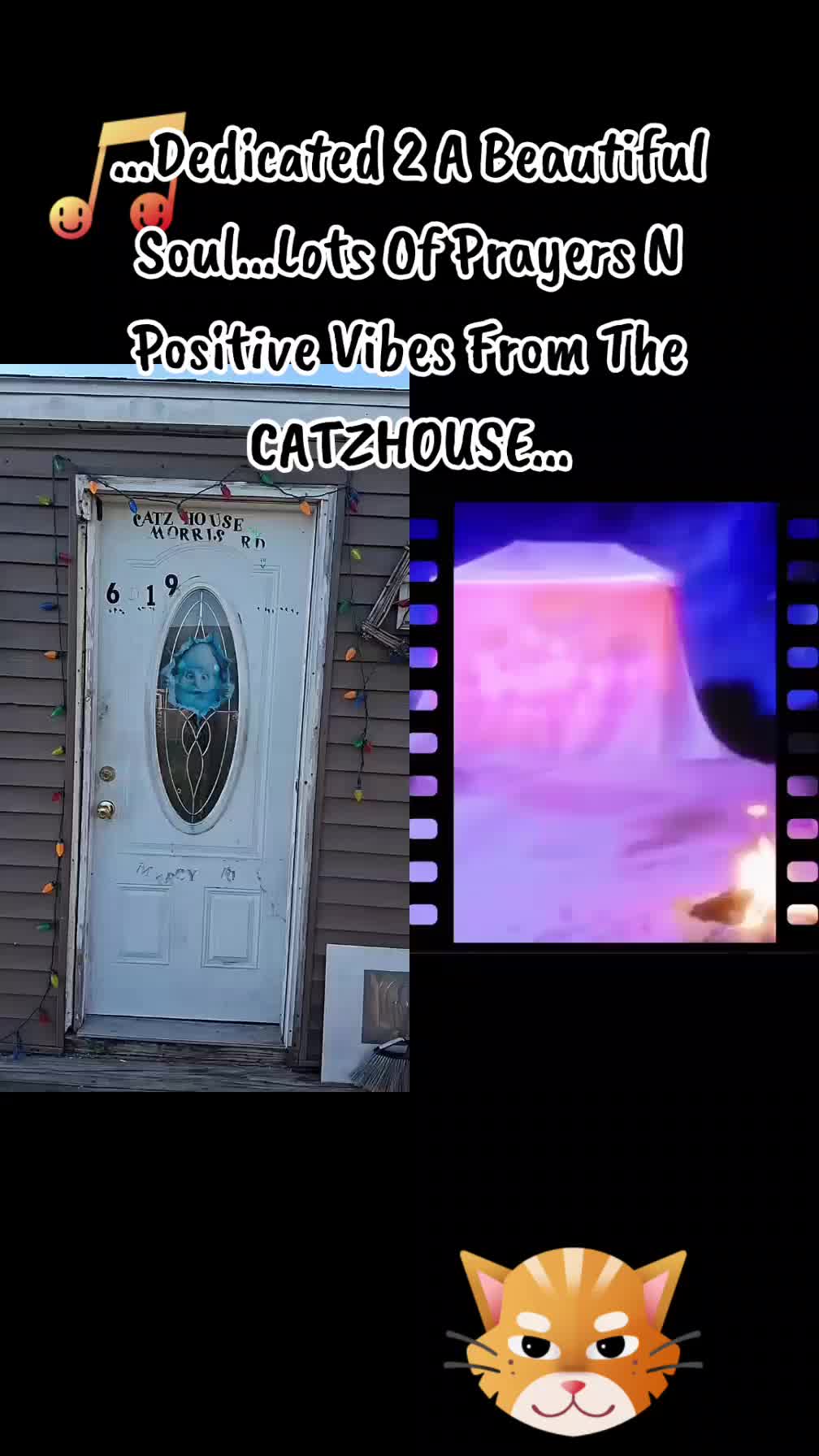 @Booh Hovey crazycatlady3