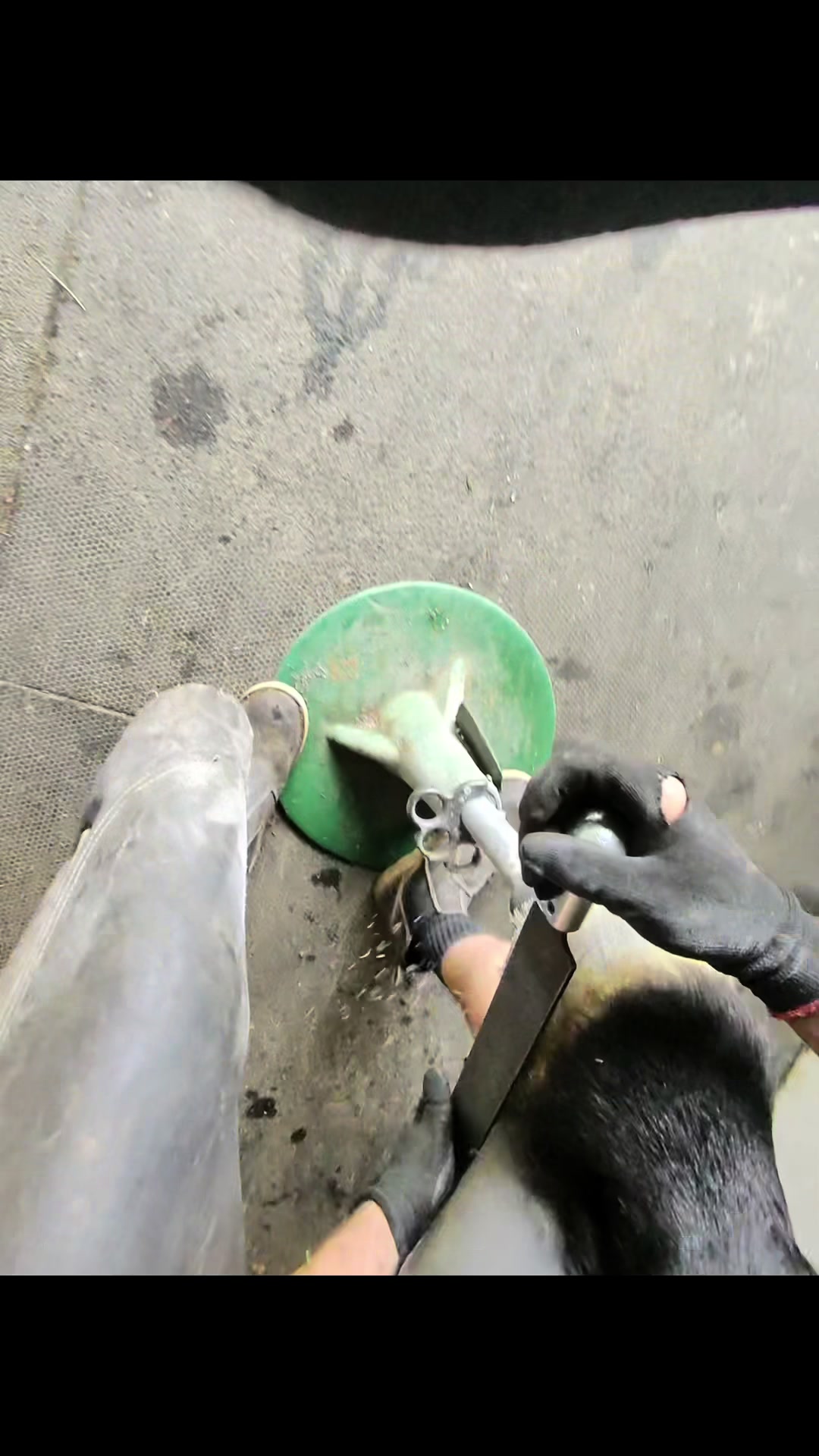 @jakethefarrier_