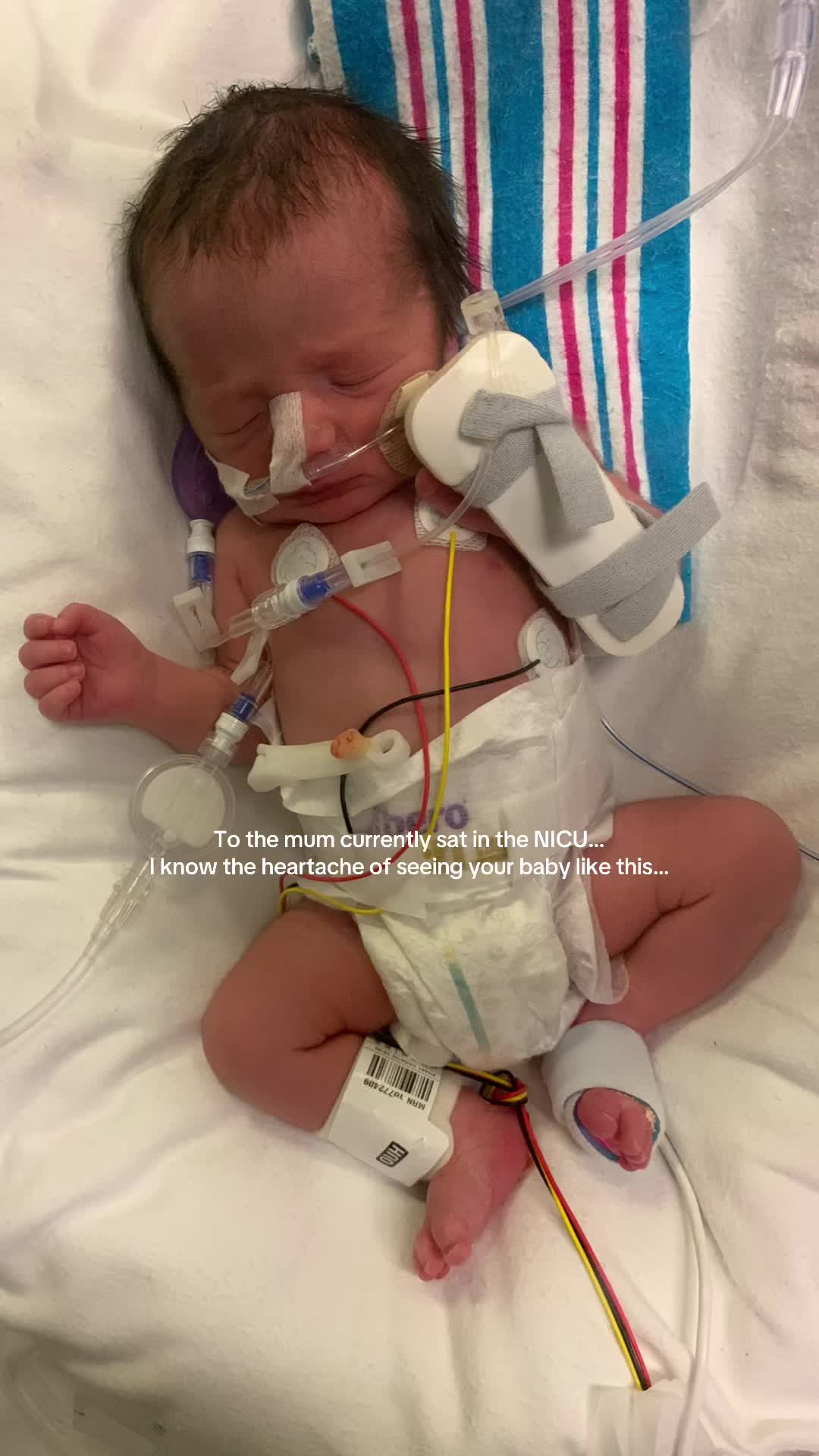 @zoeandherpreemies