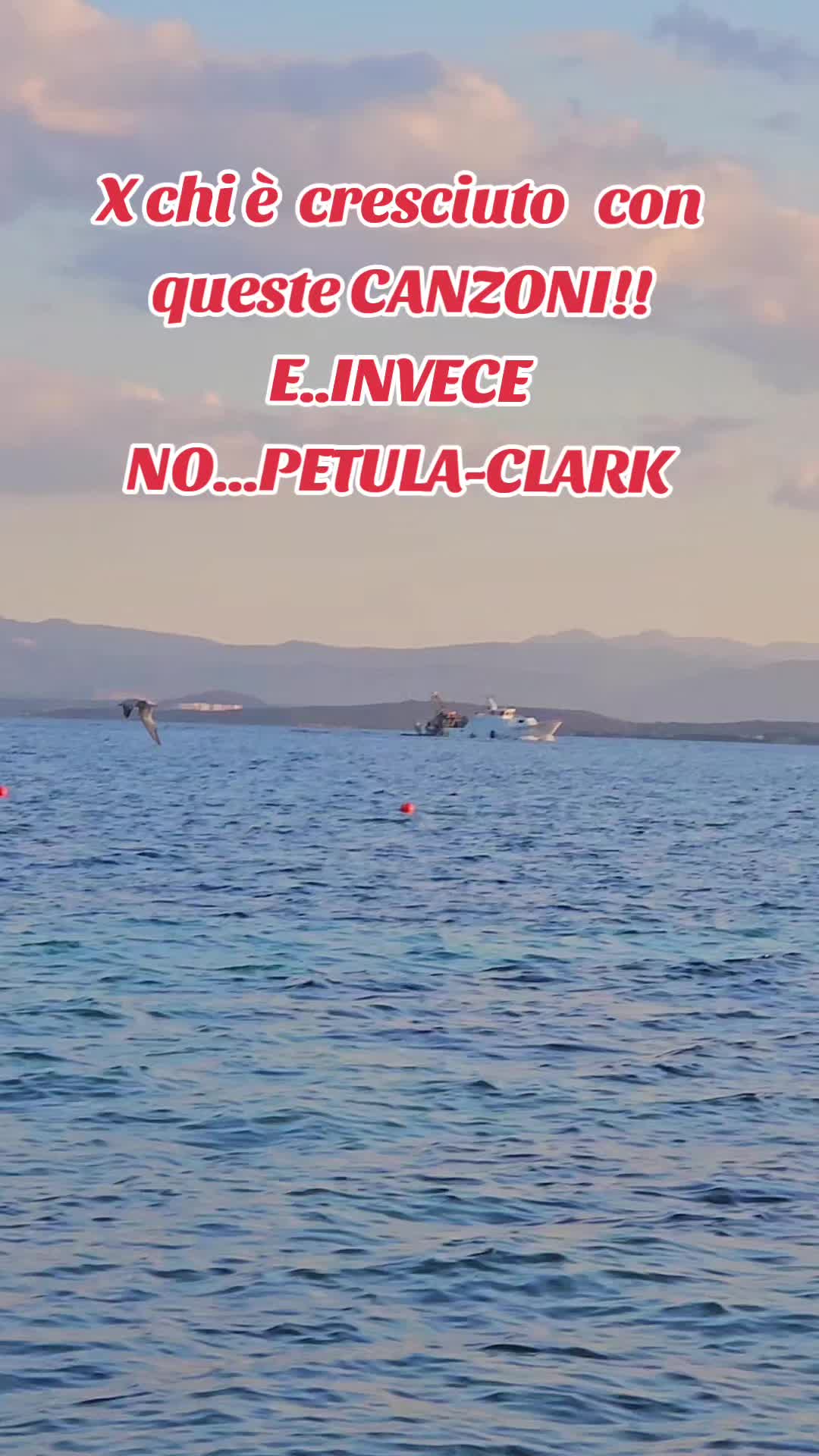 @MARIA TAGLIAFIERRO