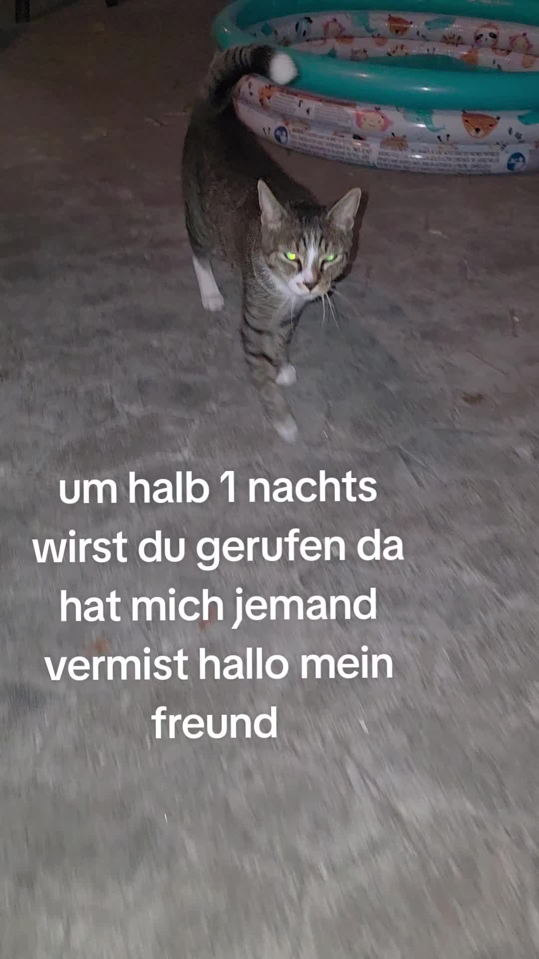 @zottel_maus123