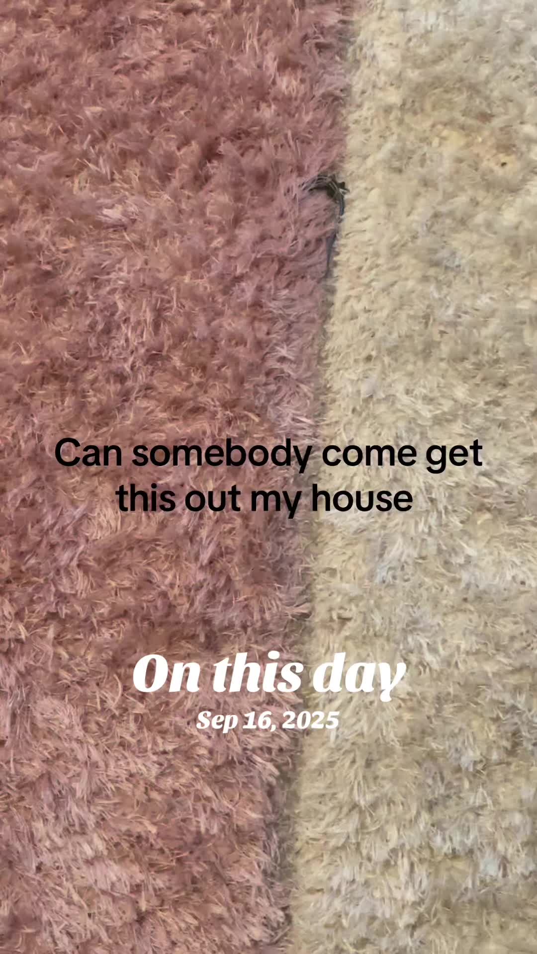@JeanieGirl666