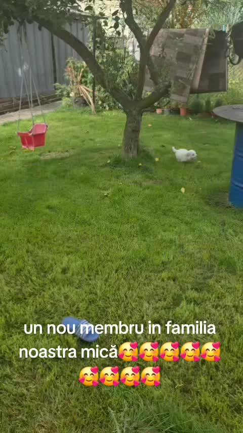 @Denis Marian Zaharia