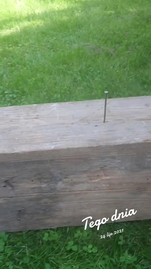 @Mortyll