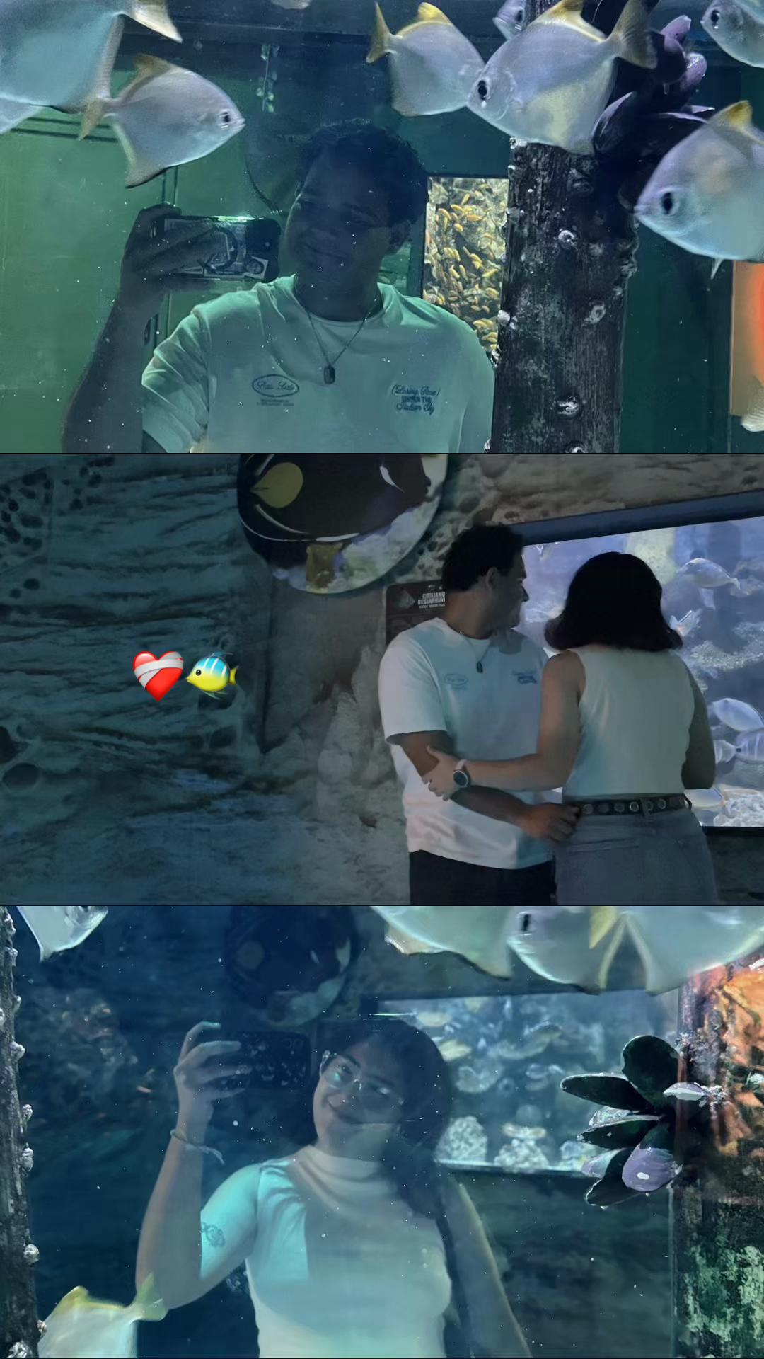@๐บ๐๐๐ ๐๐๐๐๐