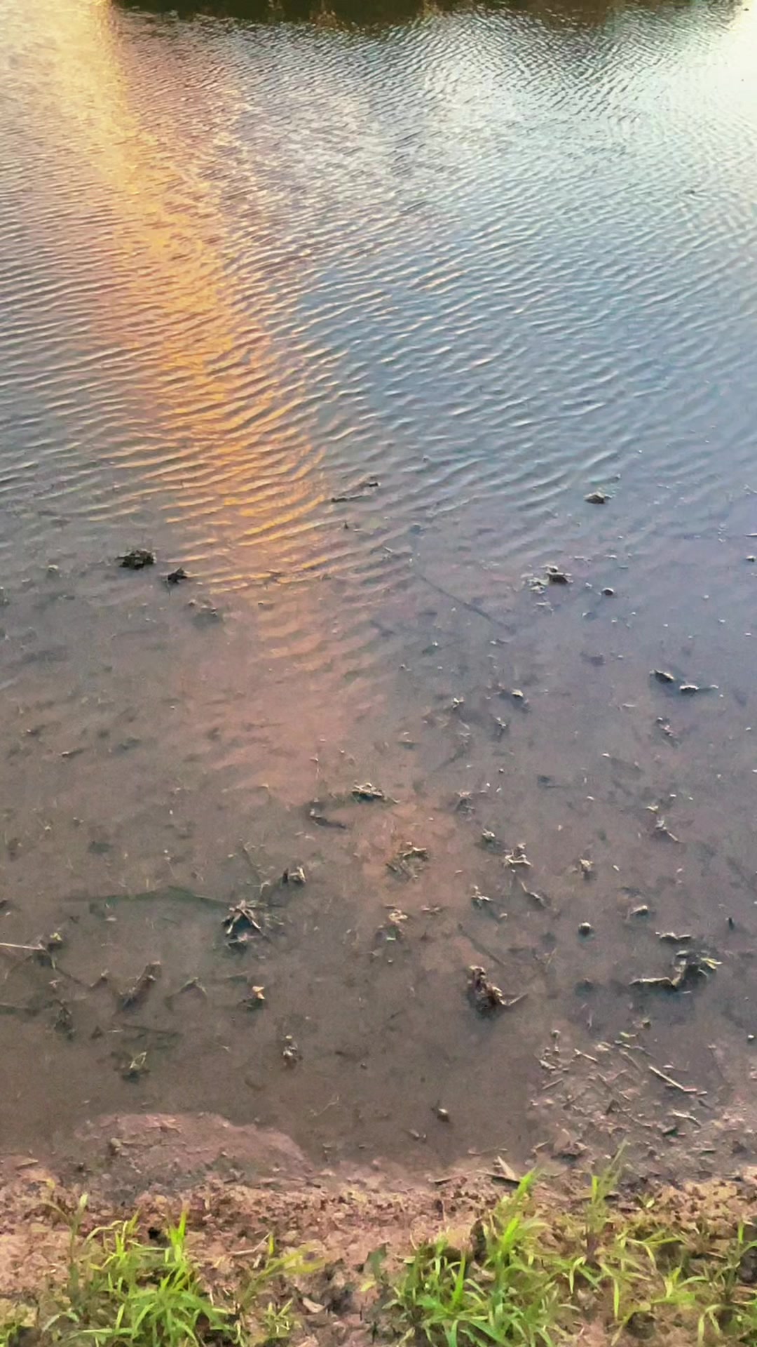 @𝐁ả𝐨 𝐇â𝐧