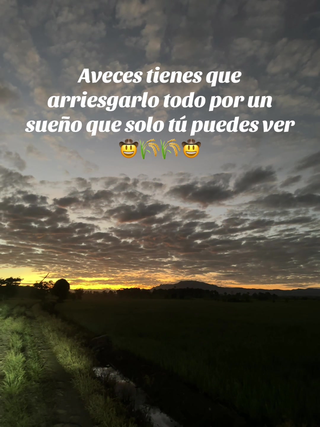 @Alejandro