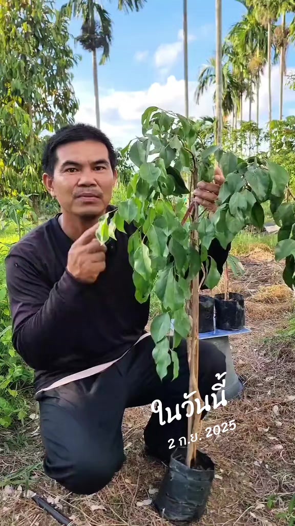 @Konloy
