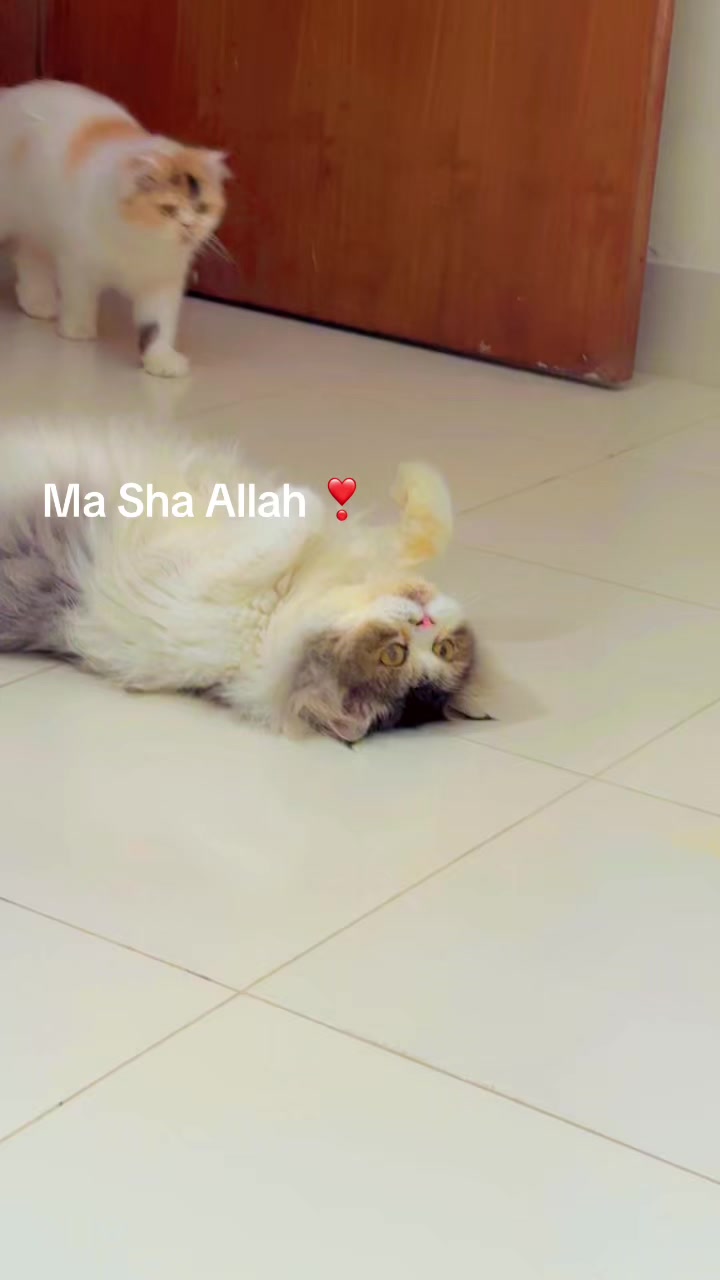 @Nilima