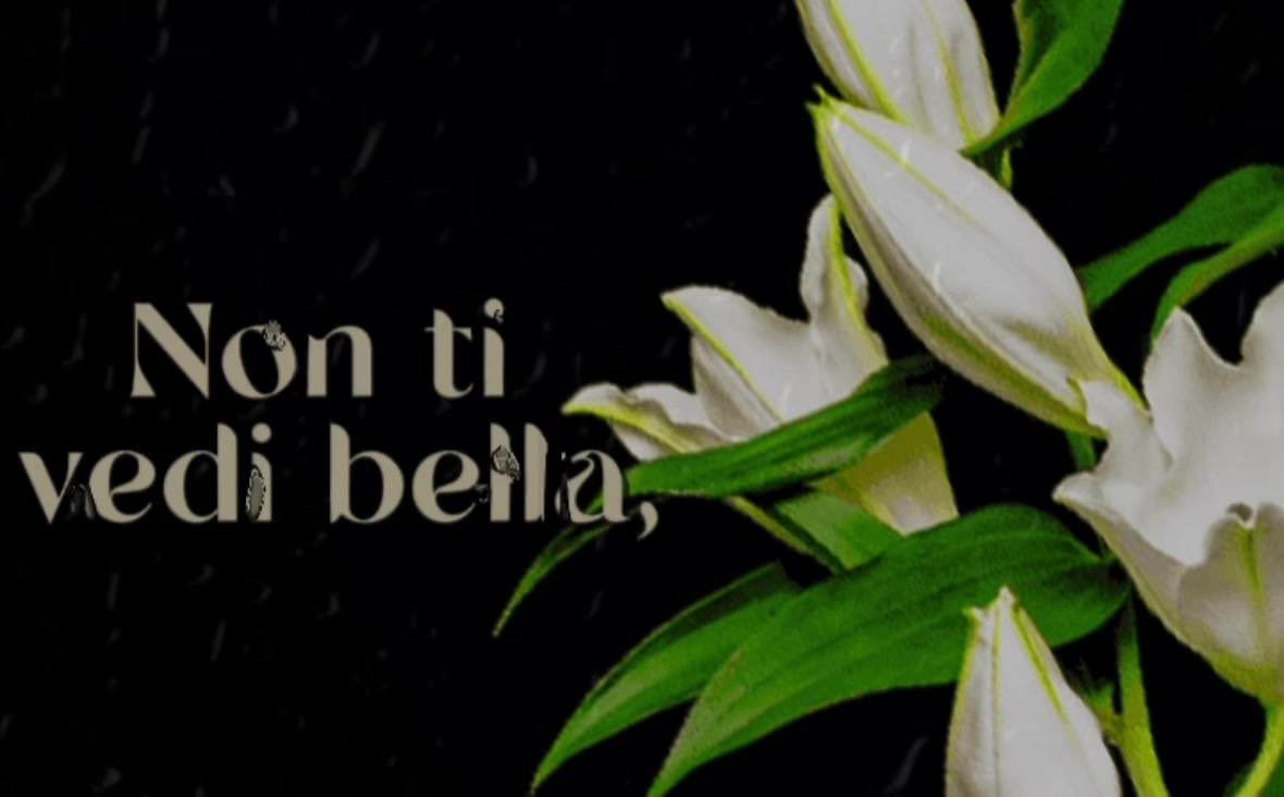 @❦._.✿