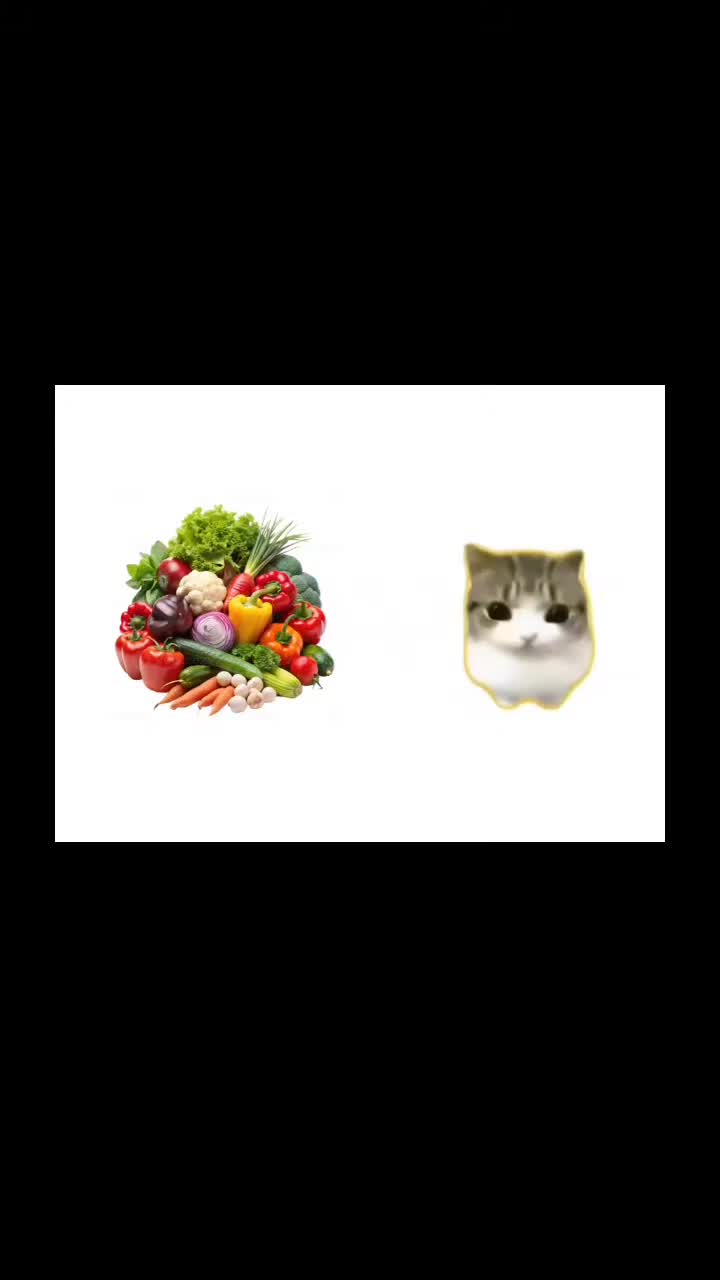 @🪽🌷