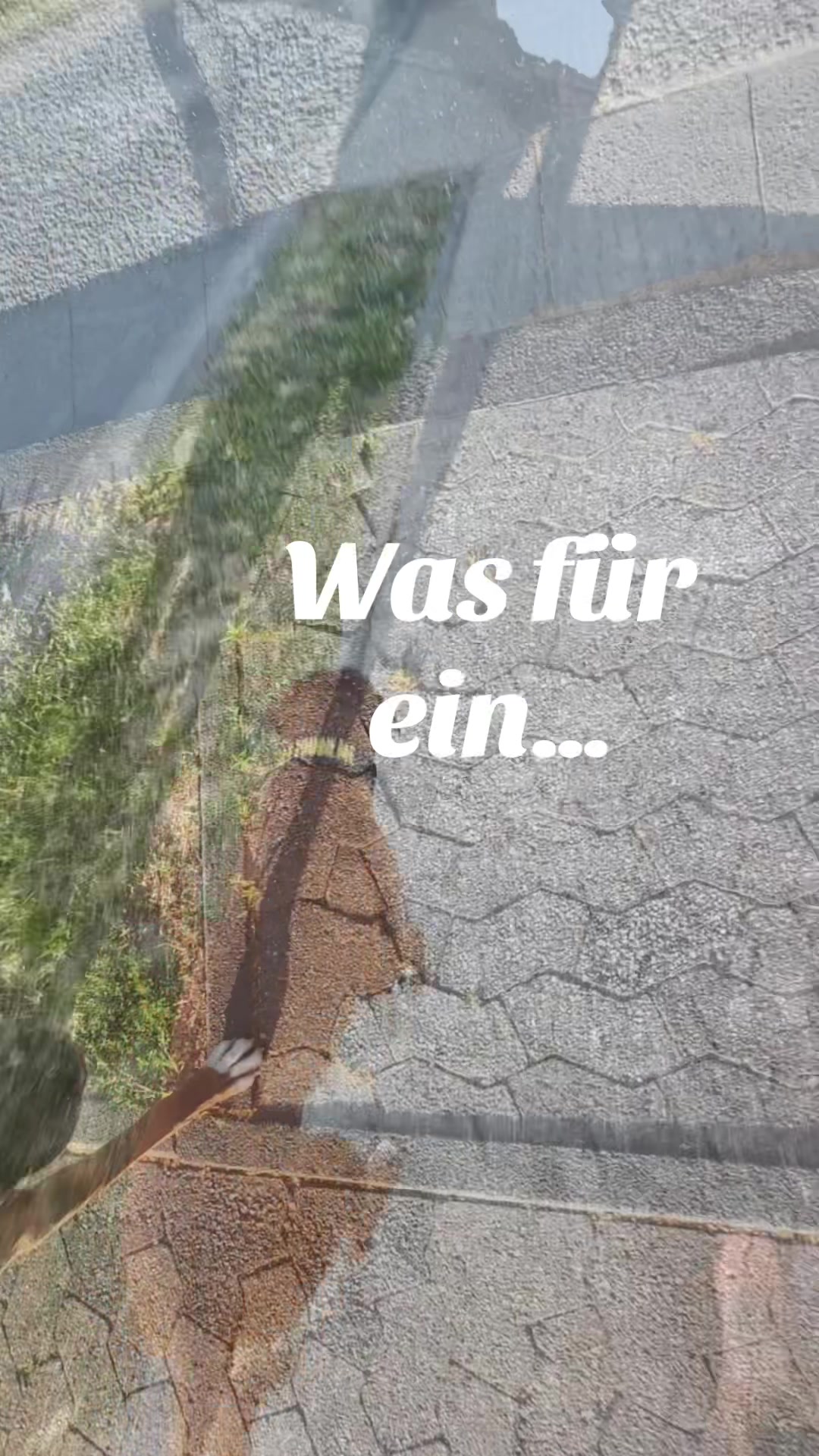 @_𝙱𝙾𝚇𝙴𝚁&ensp;_𝙹𝙲𝙺_