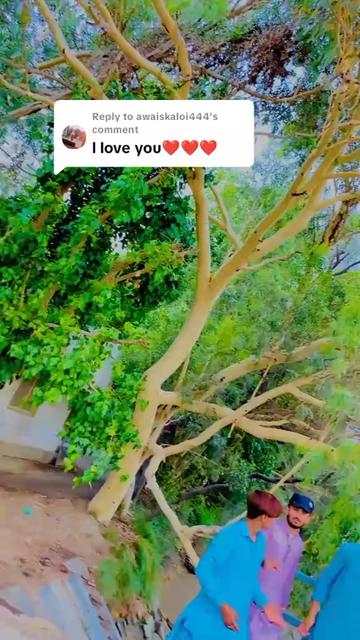 @Naseebullah kaloi