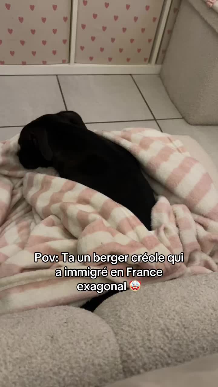 @Loana 🐈⬛
