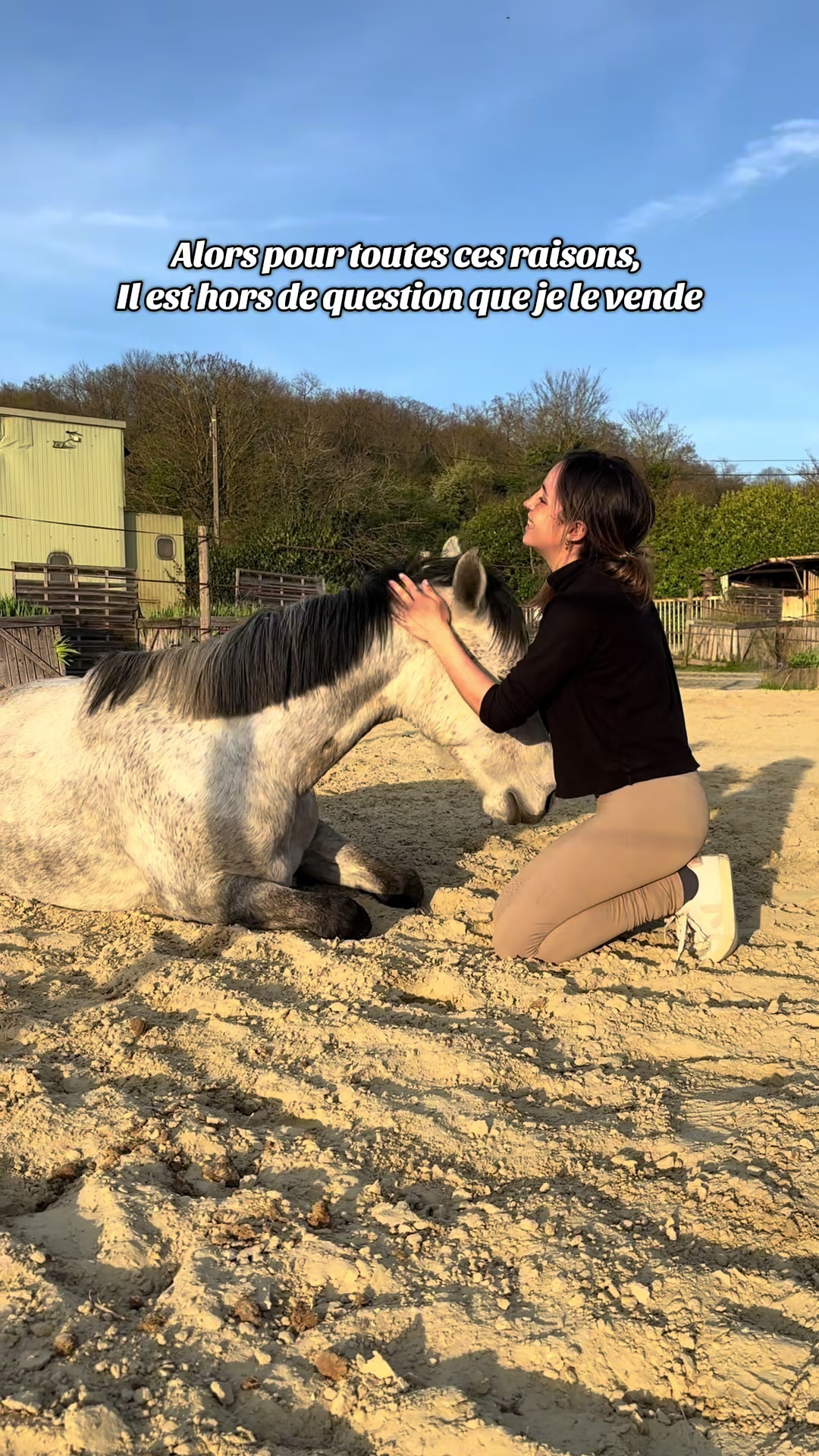 @Réflexions Equestres