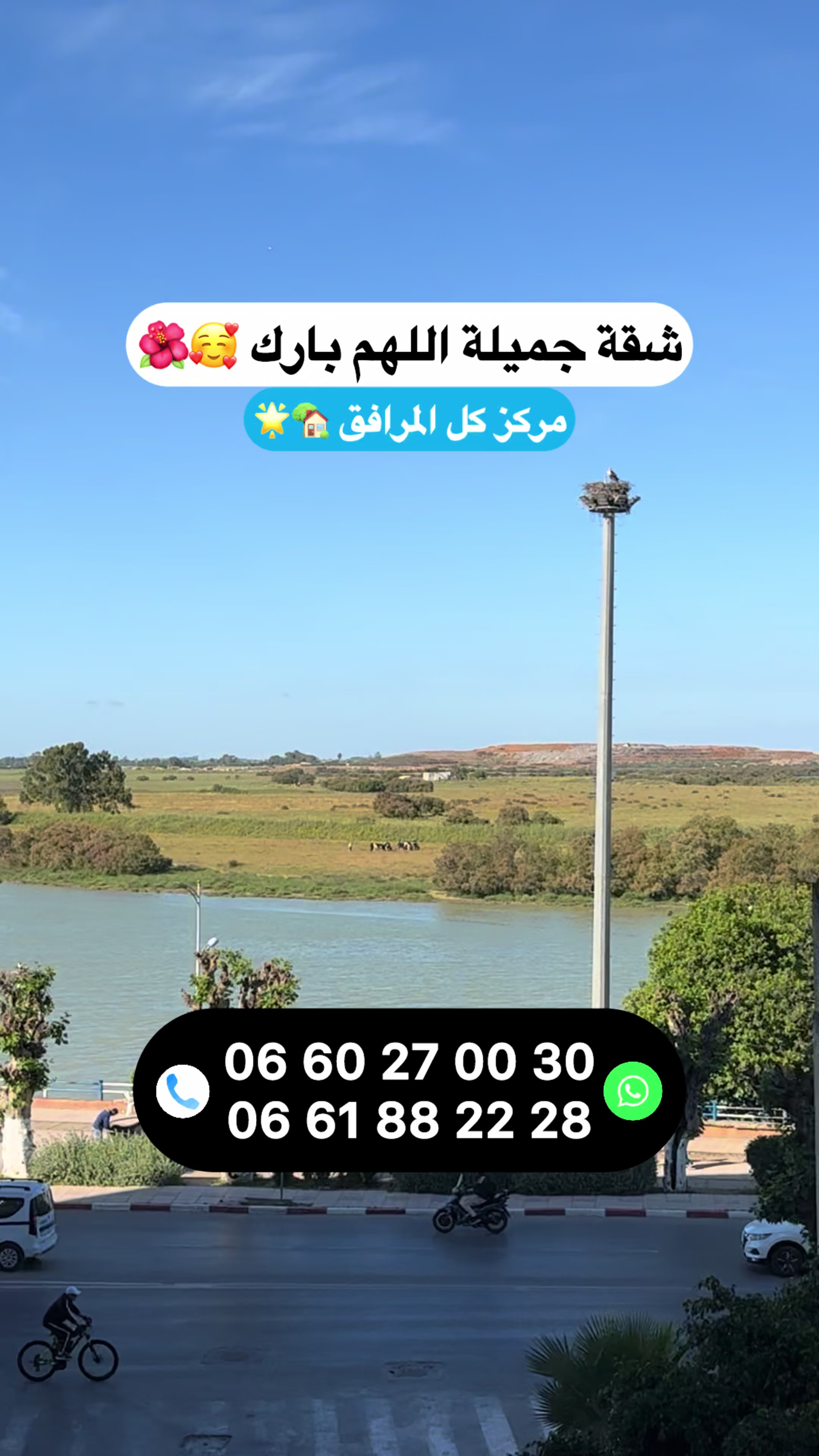 @Zakaria Haddad 🇲🇦🇵🇸