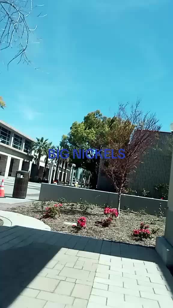@big nickels