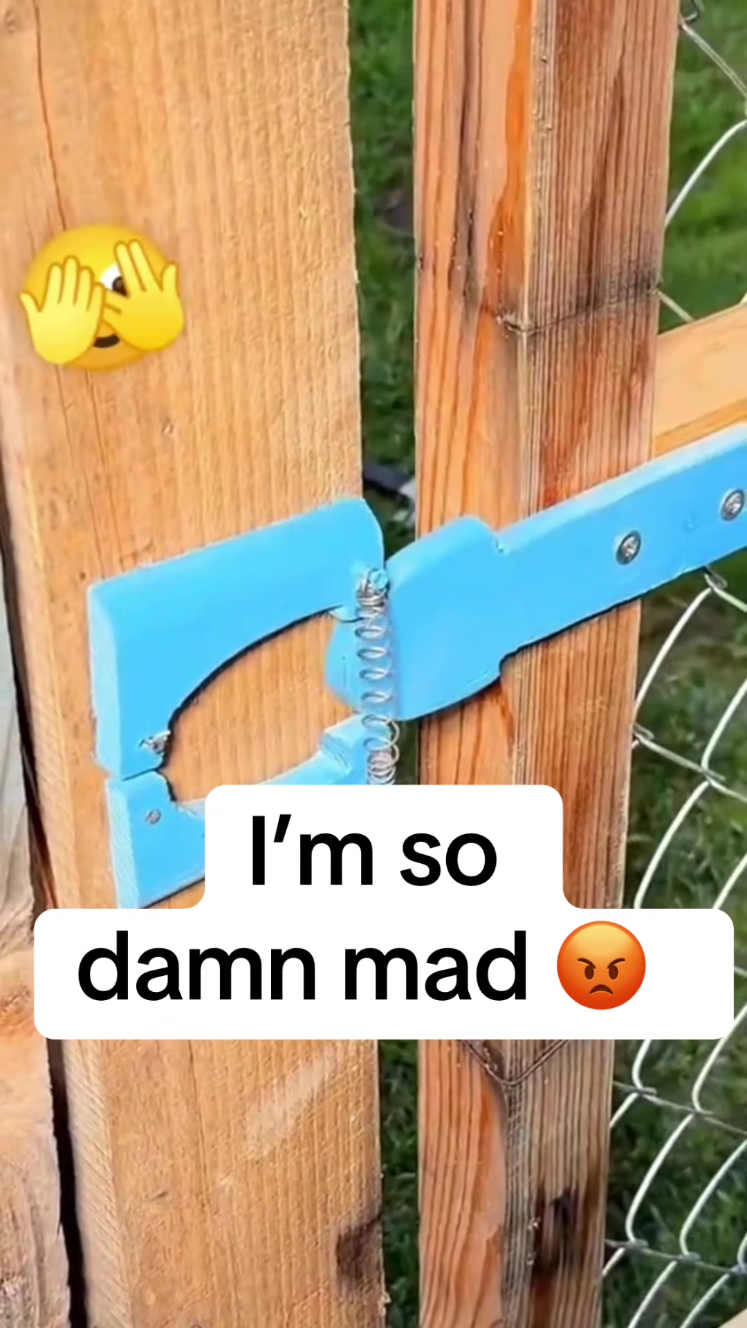 @Countree1978